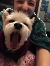 28168075_10155856356062928_7506491058532980512_n